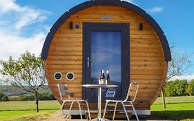 Domaine Joseph Lafarge Wine Resort Oeno-Tonneaux Experience